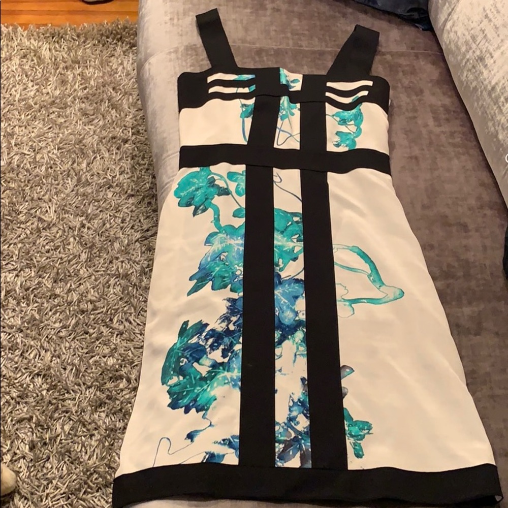 Ladies gorgeous Silk  Dress